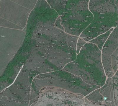 Прикрепленное изображение: Балаклава.jpg